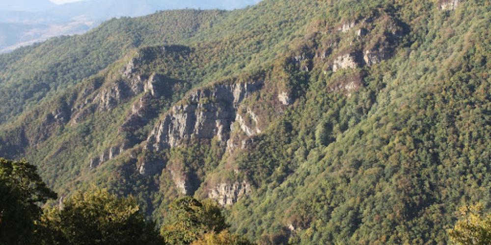 View of mountains covered in vegetation. The Hyrcanian forest is famous for the high altitudes and resilient vegetation. – © Faraz Habiballahian / Shutterstock View of mountains covered in vegetation. The Hyrcanian forest is famous for the high altitudes and resilient vegetation. – © Faraz Habiballahian / Shutterstock