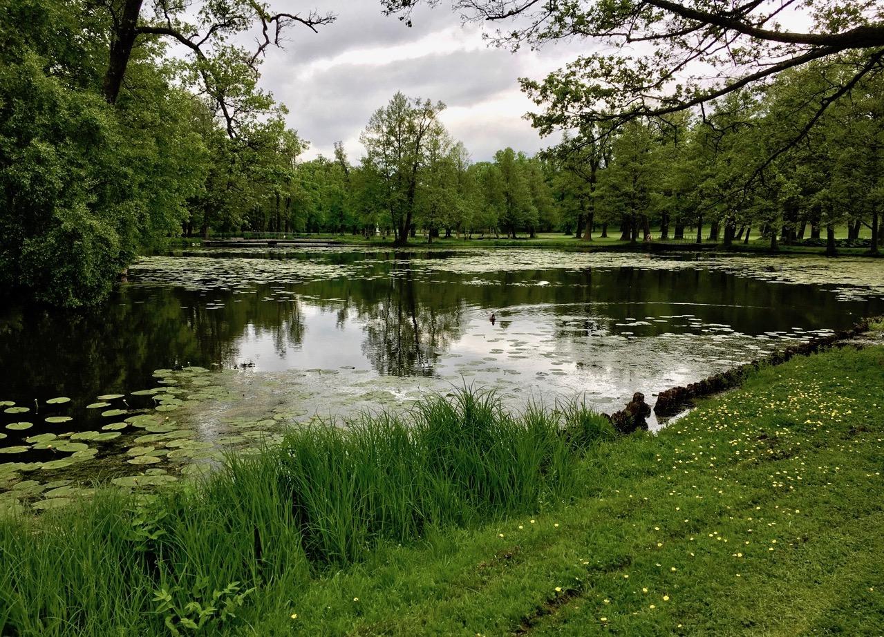 View of a pond in the English garden park at Drottningholm. – © Frank Biasi