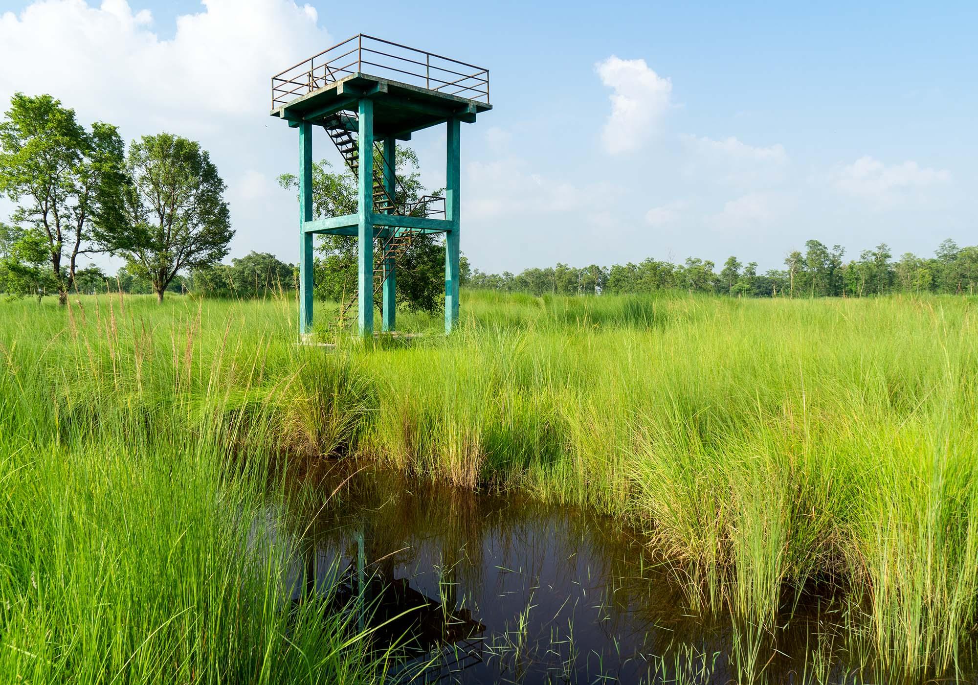 A viewing tower in the Crane Sanctuary, where the region’s beautiful Sarus Cranes are protected. – © Michael Turtle