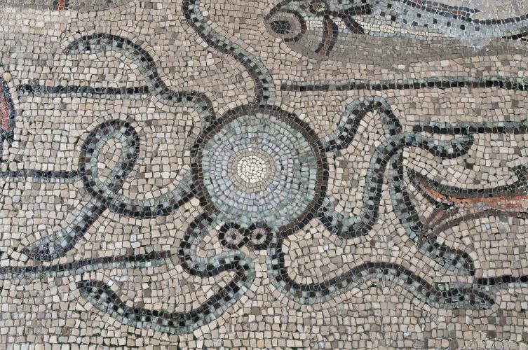 Detail of the mosaic floor of the story of Jonah, with the marine background crowded with fish and other sea creatures – © Gianluca Baronchelli