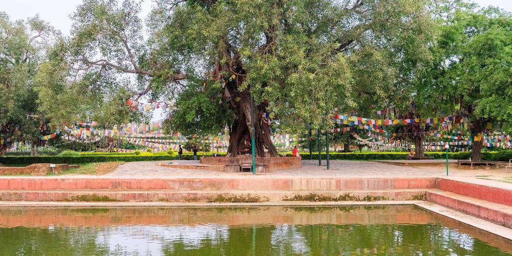 The Sacred Pond next to the Mayadevi Temple is believed to be the place where Buddha’s mother, Queen Mayadevi, bathed herself before his birth. It is also where he received his purification bath. – © Michael Turtle