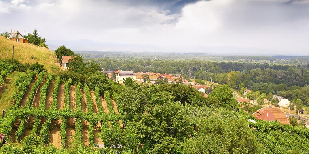 Vineyard and hills in Tokaj Region, where a distinct winemaking tradition has existed for more than one thousand years – © Pecold / Shutterstock Vineyard and hills in Tokaj Region, where a distinct winemaking tradition has existed for more than one thousand years – © Pecold / Shutterstock