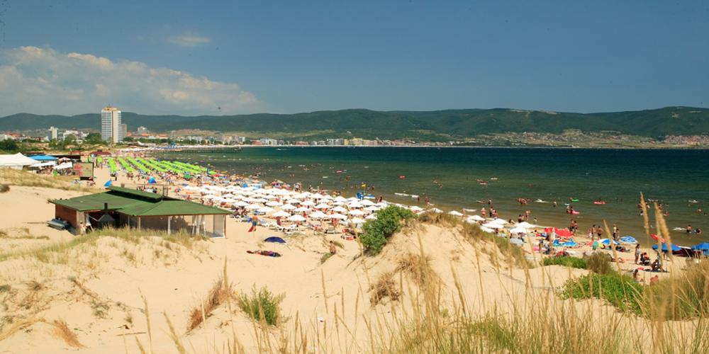 The dunes are the habitat for some very rare vegetation species of bushes, flowers, and grass. – © Nessebar Municipality