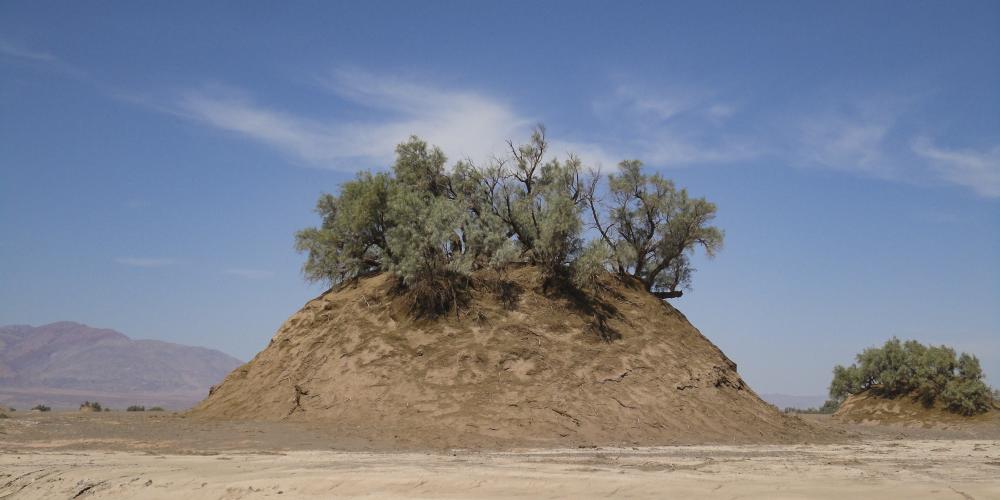 Example of Nabkha, typical type of sand dune in Lut Desert. – © Firouz Amjadian