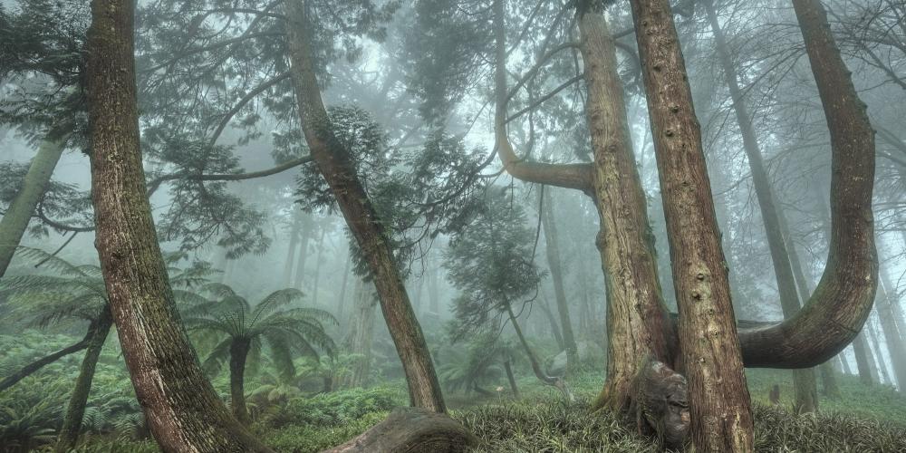 In the Park of Pena, the expression of the romantic aesthetic is combined with the search for exoticism in the diversity of nature. – © PSML / EMIGUS In the Park of Pena, the expression of the romantic aesthetic is combined with the search for exoticism in the diversity of nature. – © PSML / EMIGUS