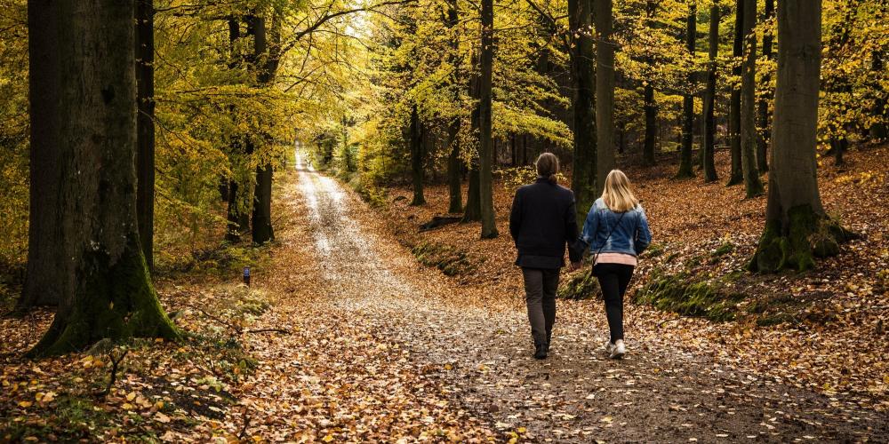 De longues routes droites offraient des lignes de visibilité dégagées - utiles pour les cavaliers pendant la chasse. – © Sune Magyar / Parforcejagtlandskabet i Nordsjælland