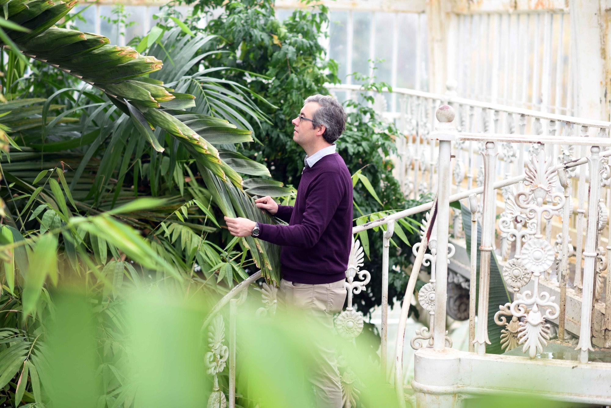 A scientist examines plants in the Palm House. - © Jeff Eden