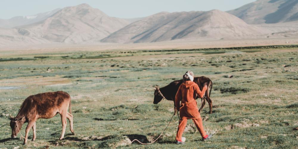 Local farming activity © Ann Tachado – Photo by Ann Tachado Local farming activity © Ann Tachado – Photo by Ann Tachado