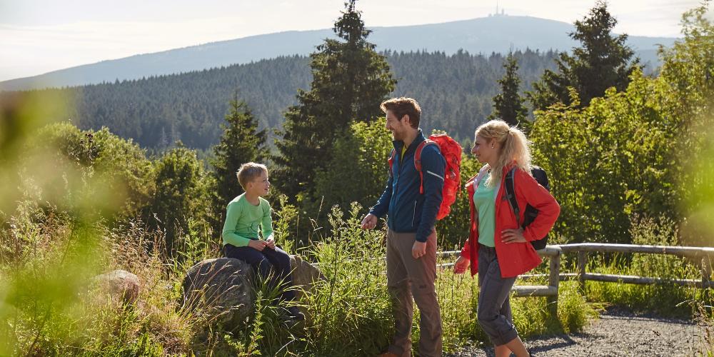 The densely-forested region of Torfhaus contains numerous hiking trails, many of them also recommended for families and children. – © M. Gloger / Harzer Tourismusverband