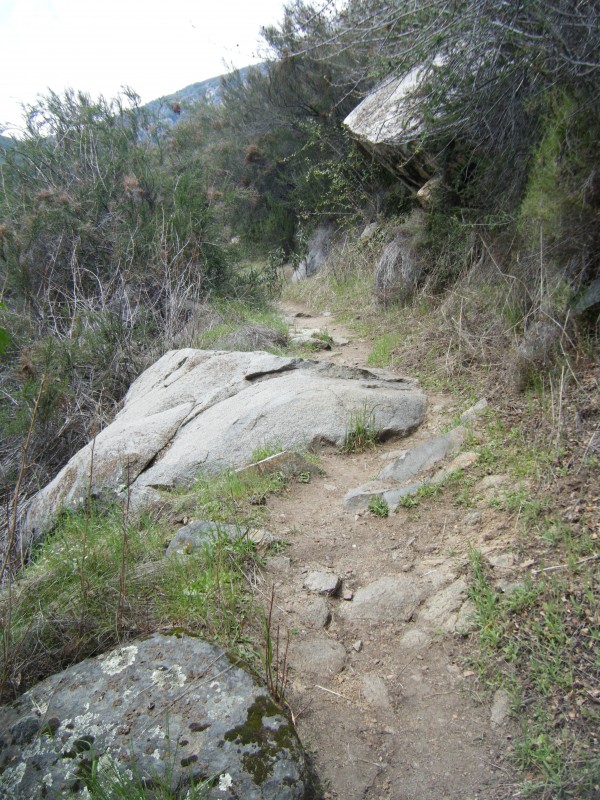 Marble falls trail sequoia national outlet park