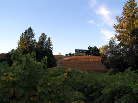 Fitzpatrick winery hotsell