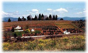 Pollock Pines Sierra Nevada Geotourism