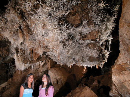 Black Chasm Cavern National Natural Landmark Sierra Nevada Geotourism   1a42b603 415b 436f Be8d 918f40395032 Sief5e90f3835a6dd167 