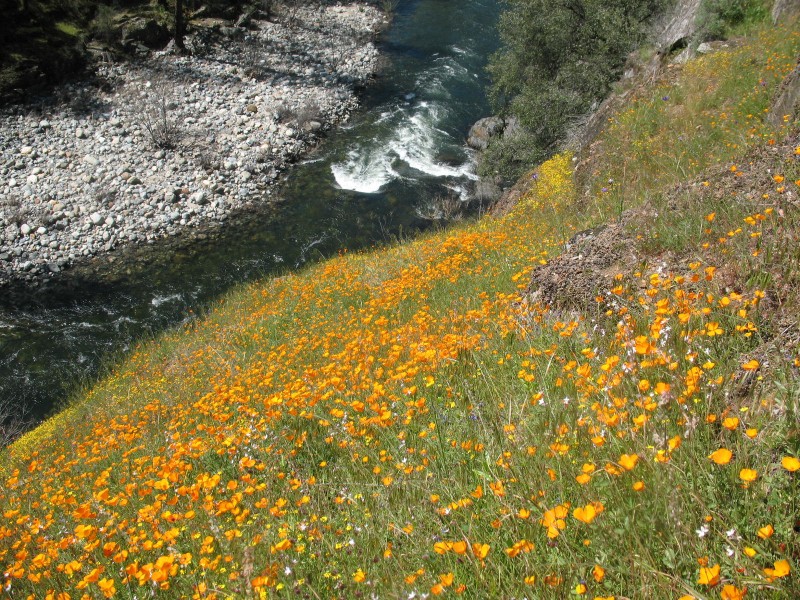 Zephyr Whitewater Expeditions Sierra Nevada Geotourism