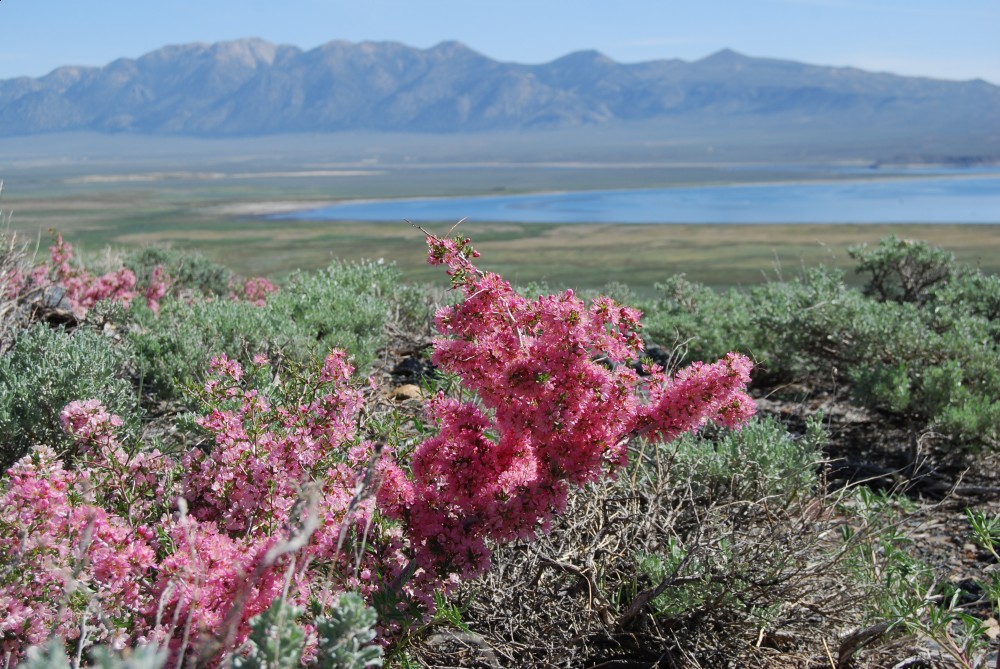 Crowley Lake Scenic Viewpoint | Sierra Nevada Geotourism