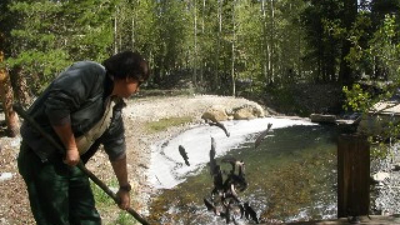 Opening Day Of Fishing Season In Mono County Sierra Nevada Geotourism Opening Day Fishing 2022 Ca Rivers