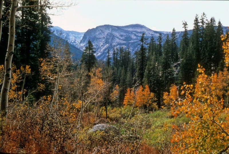 Copper Creek Trail, Kings Canyon National Park Sierra Nevada Geotourism
