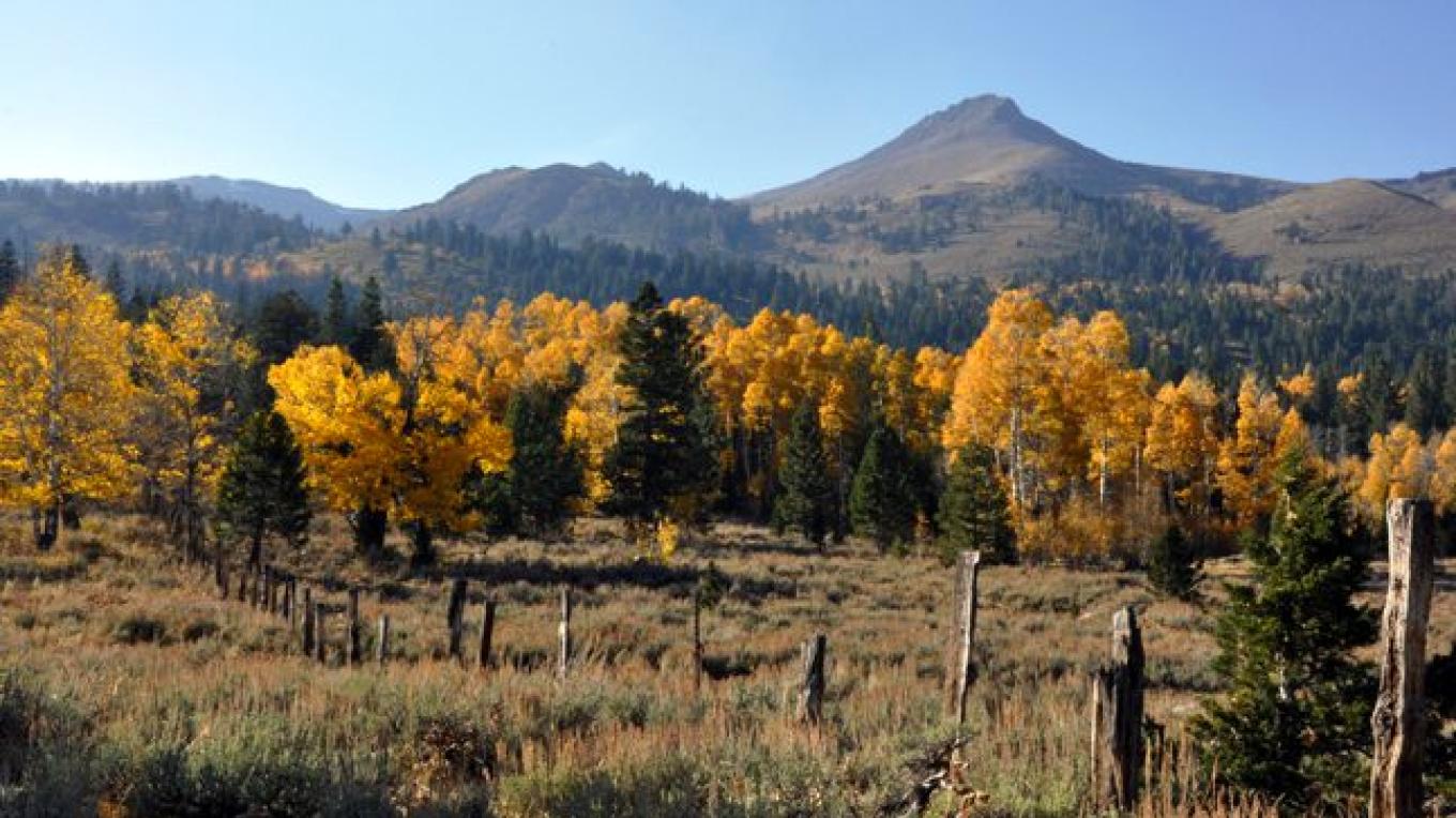 Hope Valley Sno Park Sierra Nevada Geotourism