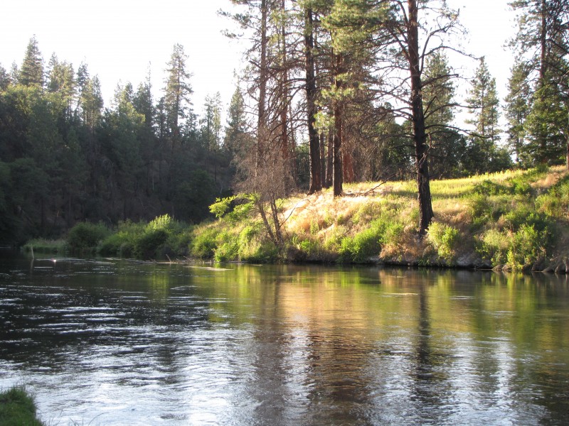 Orders hat creek fishing season