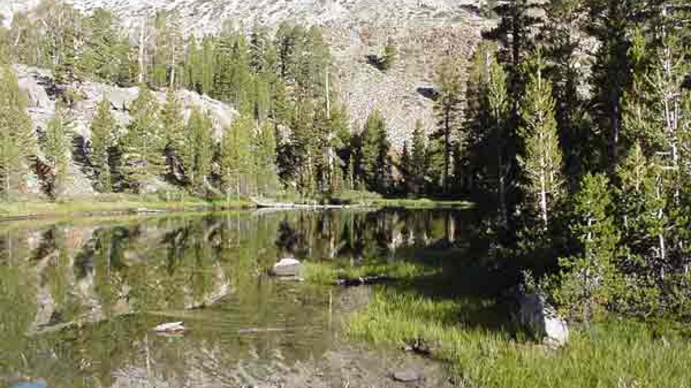 Lee Vining Canyon Scenic Byway | Sierra Nevada Geotourism
