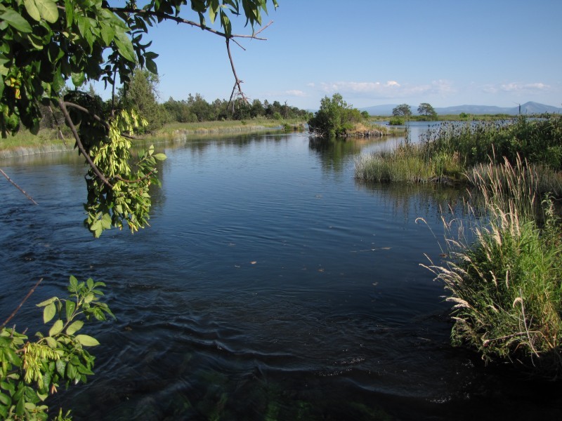 Where Volcanoes Meet Serenity: A Journey to Ahjumawi Lava Springs State Park