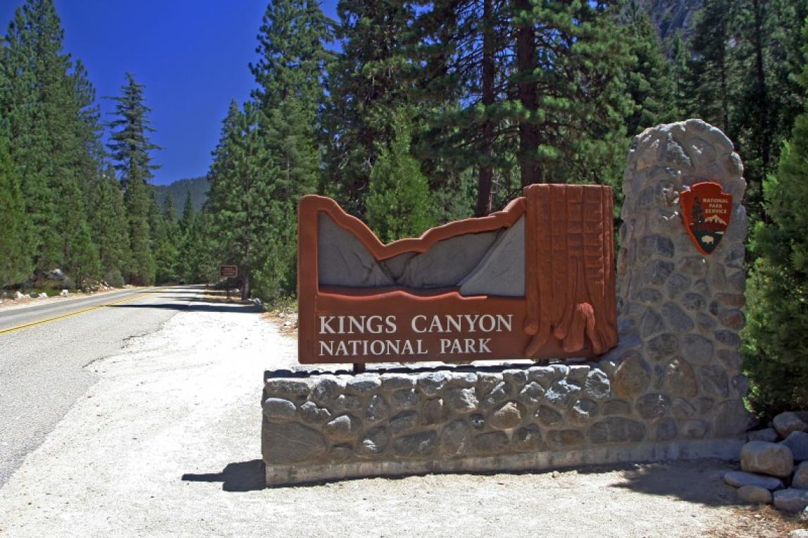 are dogs allowed in kings canyon national park