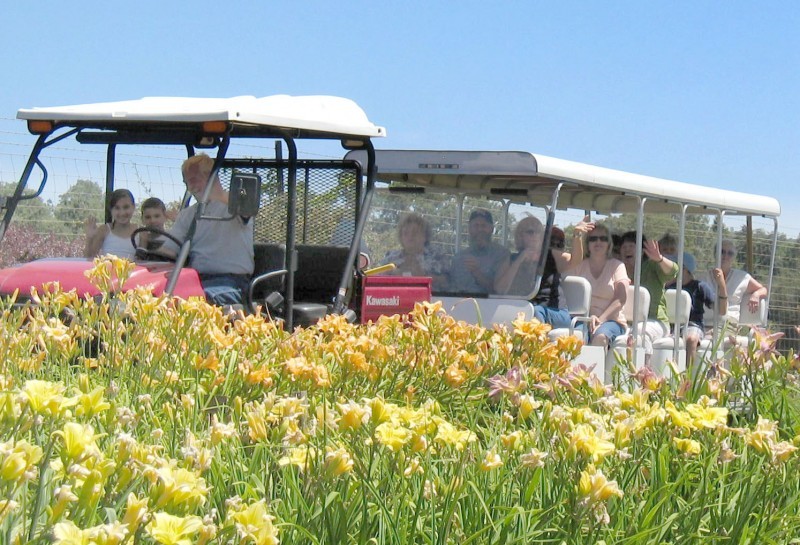 Amador Flower Farm  Sierra Nevada Geotourism