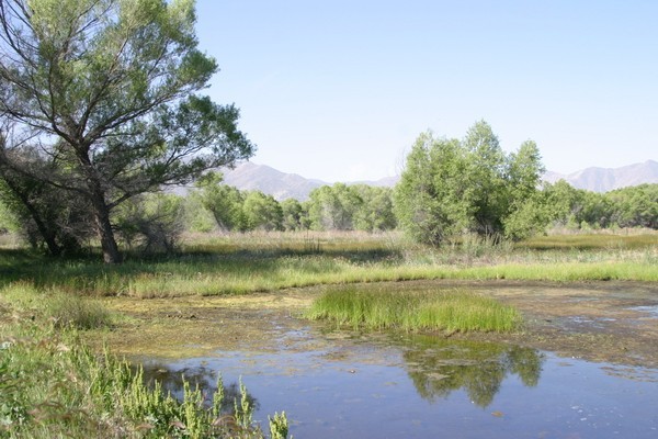 South Fork Wildlife Area - Sequoia National Forest | Sierra Nevada ...