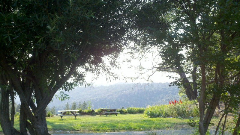 Wofford Acres Vineyards | Sierra Nevada Geotourism