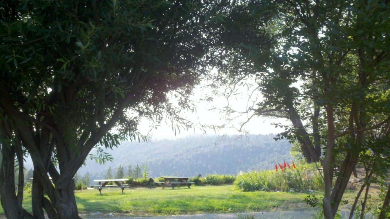 Wofford Acres Vineyards | Sierra Nevada Geotourism