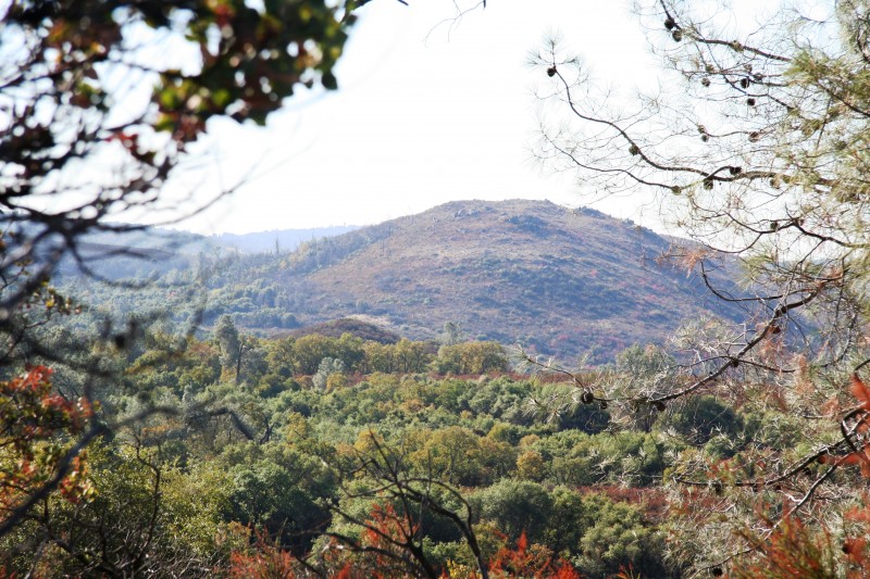 Pine Hill Preserve Sierra Nevada Geotourism