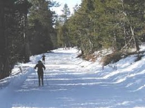 Lake Alpine SnoPark Sierra Nevada Geotourism