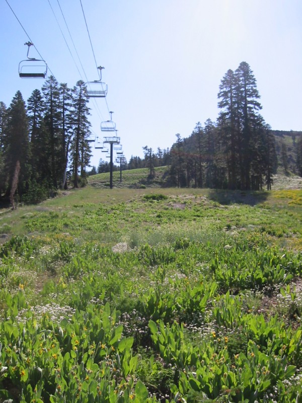 Mt. Judah Loop Sierra Nevada Geotourism