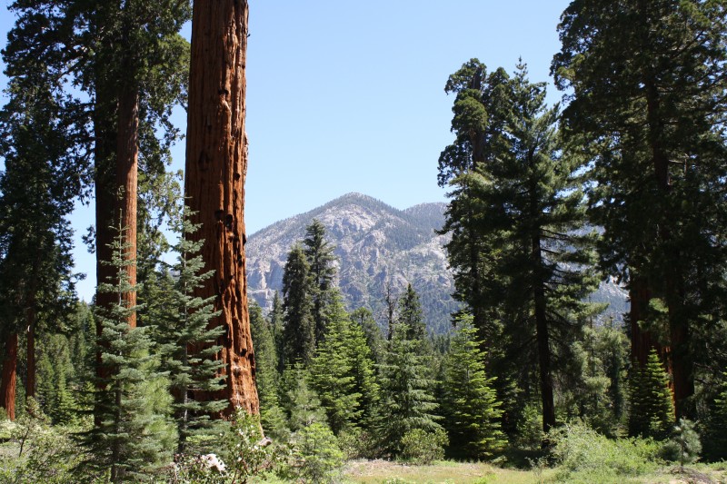 Is Balch Park Open 2024 Aleen Aurelea