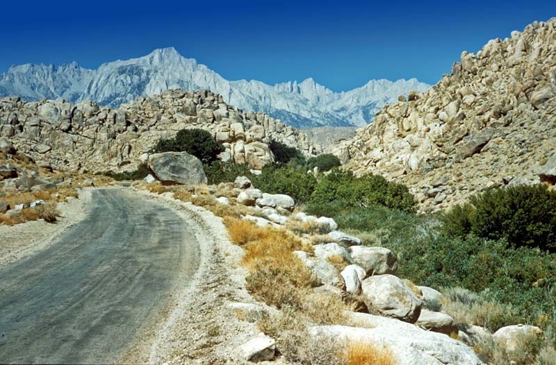 Sequoia national forest on sale trails