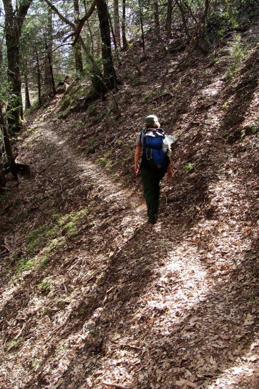 Ladybug Trail Sequoia National Park Sierra Nevada Geotourism