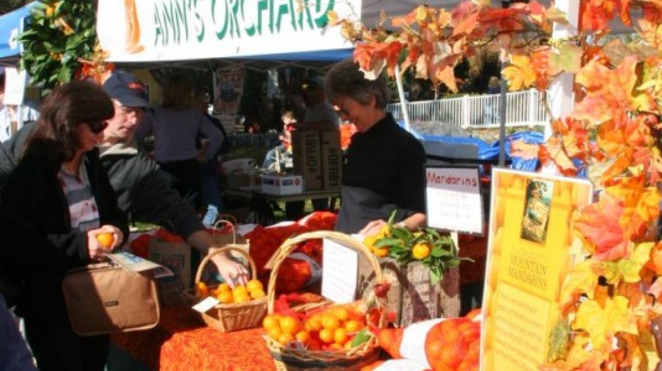 Mountain Mandarin Festival Sierra Nevada Geotourism Mandarin Festival Auburn Ca 2022