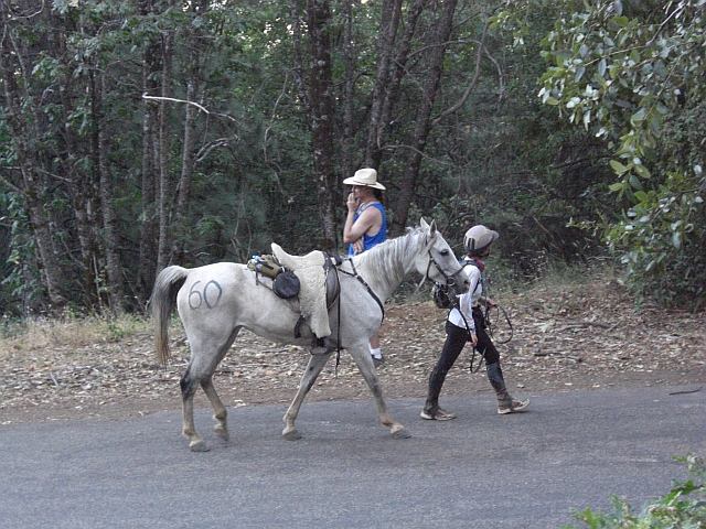 Tevis Cup Endurance Trail Ride | Sierra Nevada Geotourism
