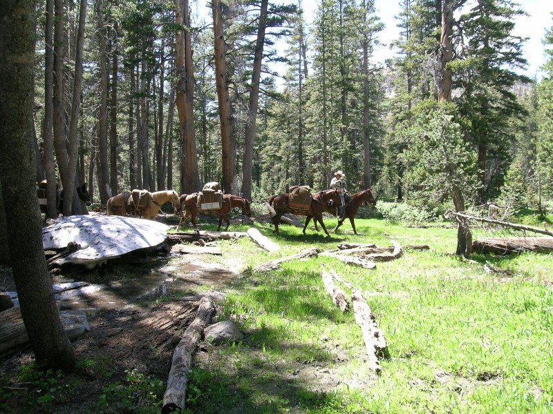 Ansel adams wilderness outlet backpacking