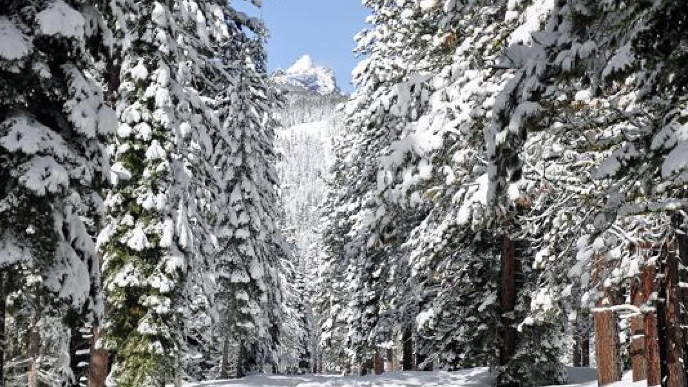 Blackwood Canyon Sno Park Sierra Nevada Geotourism