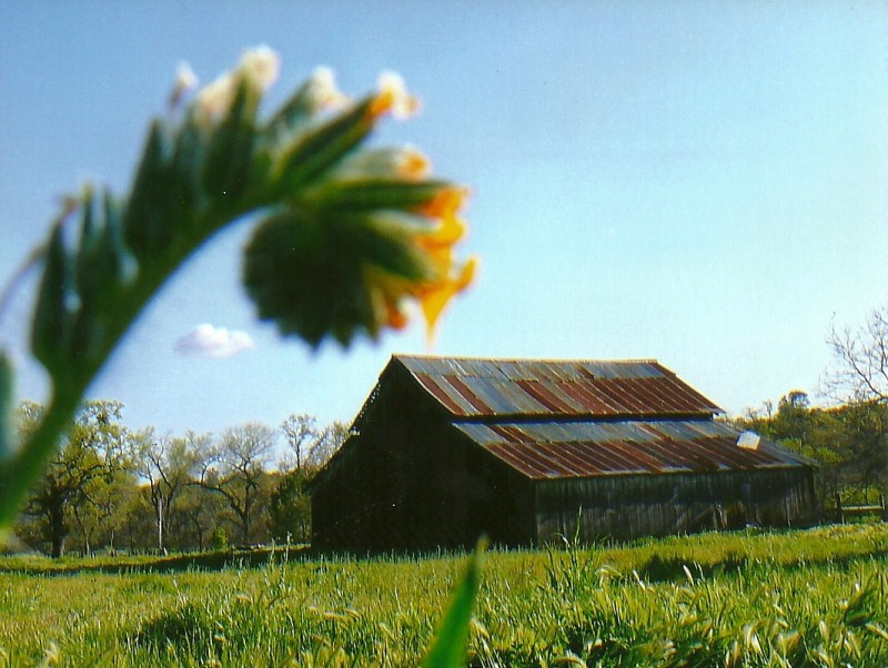 Auberry, California Sierra Nevada Geotourism