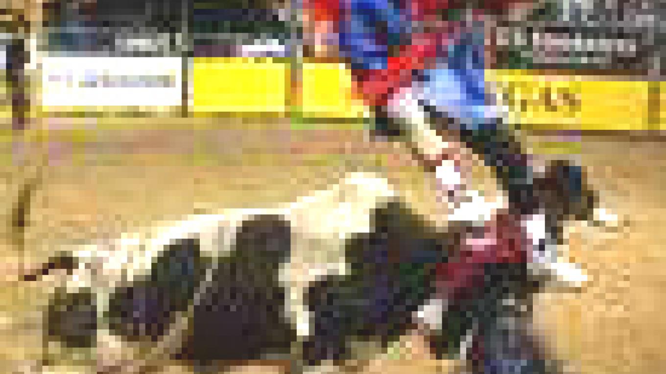 Springville Sierra Rodeo | Sierra Nevada Geotourism