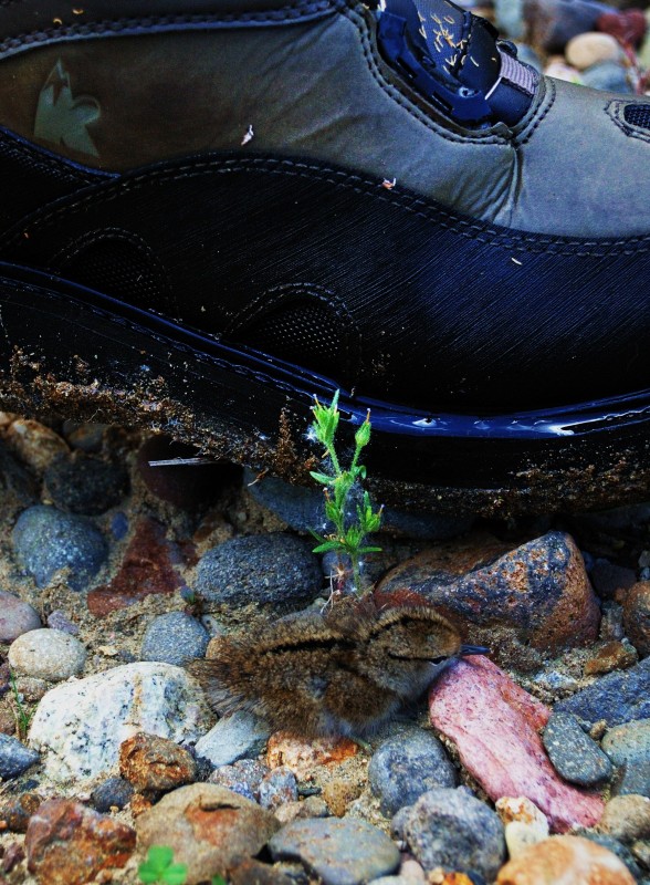 The Angler's Edge Sierra Nevada Geotourism