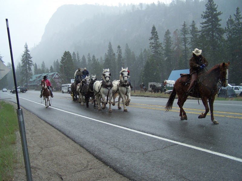 Highway 50 Association Wagon Train Sierra Nevada Geotourism