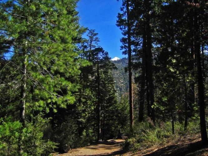 Don Cecil Trail, Kings Canyon National Park | Sierra Nevada Geotourism