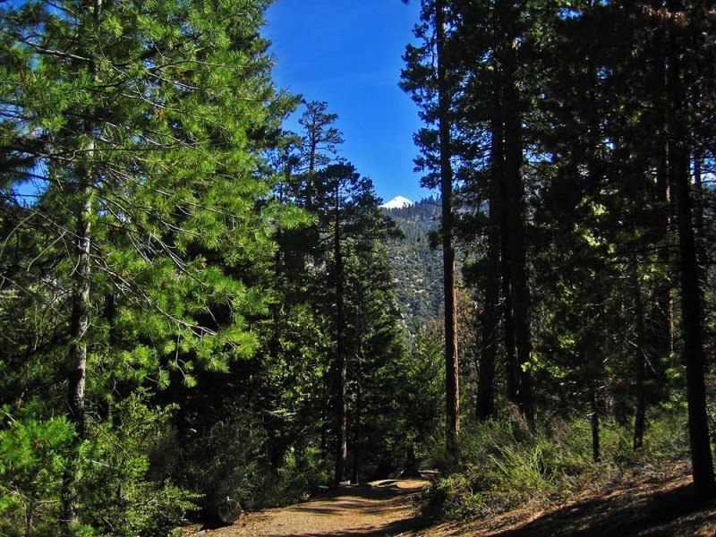Don Cecil Trail, Kings Canyon National Park