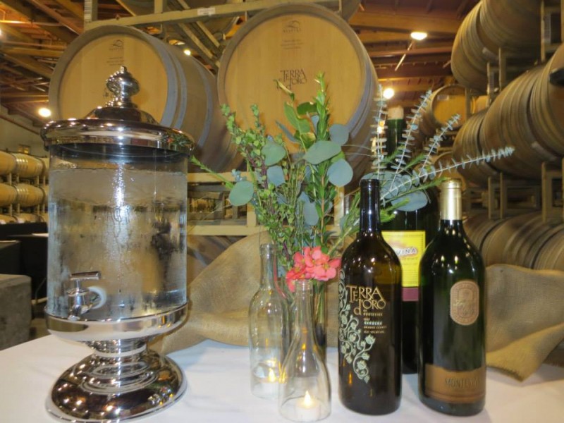 Terra d'Oro Winery | Sierra Nevada Geotourism