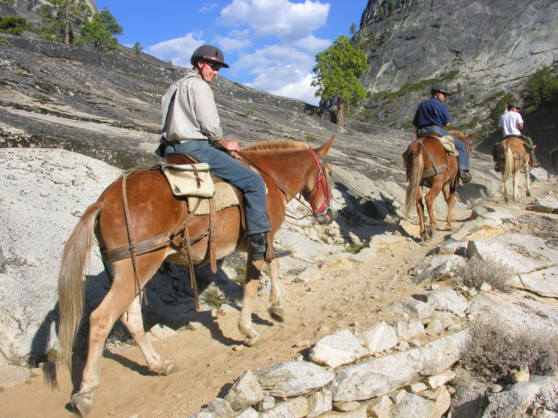 Yosemite Stables Sierra Nevada Geotourism