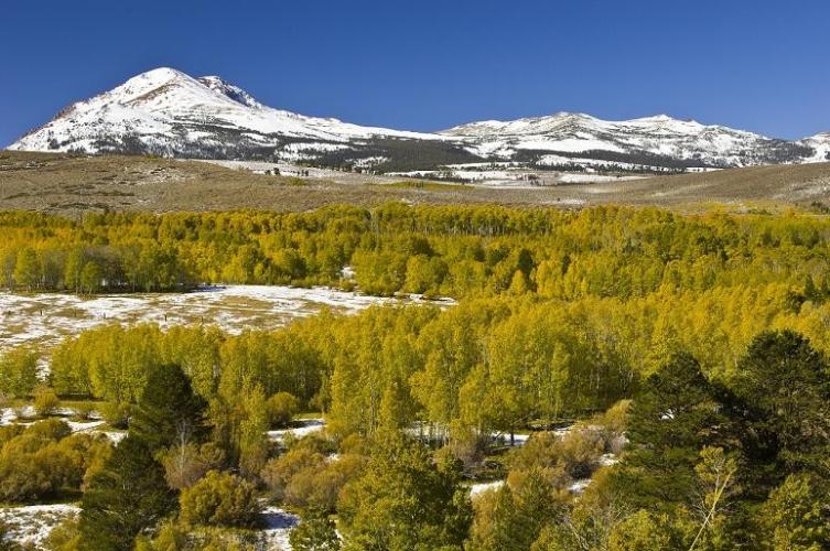 HumboldtToiyabe National Forest Sierra Nevada Geotourism