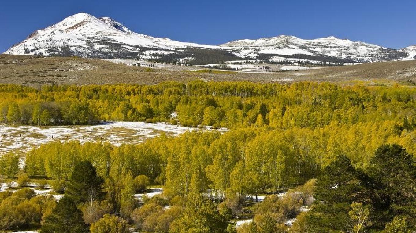 Humboldt-Toiyabe National Forest | Sierra Nevada Geotourism